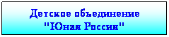 Подпись: Детское объединение "Юная Россия"
